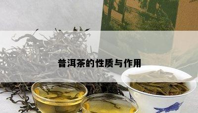 普洱茶的性质与作用