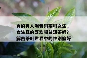 真的有人喝普洱茶吗女生，女生真的喜欢喝普洱茶吗？解密茶叶世界中的性别偏好