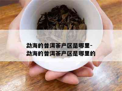 勐海的普洱茶产区是哪里-勐海的普洱茶产区是哪里的