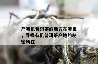 产有机普洱茶的地方在哪里，寻找有机普洱茶产地的秘密所在