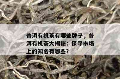 普洱有机茶有哪些牌子，普洱有机茶大揭秘：探寻市场上的知名有哪些？