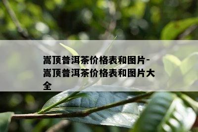 嵩顶普洱茶价格表和图片-嵩顶普洱茶价格表和图片大全