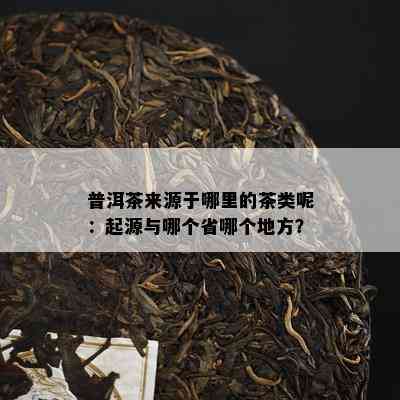 普洱茶来源于哪里的茶类呢：起源与哪个省哪个地方？