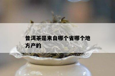 普洱茶是来自哪个省哪个地方产的