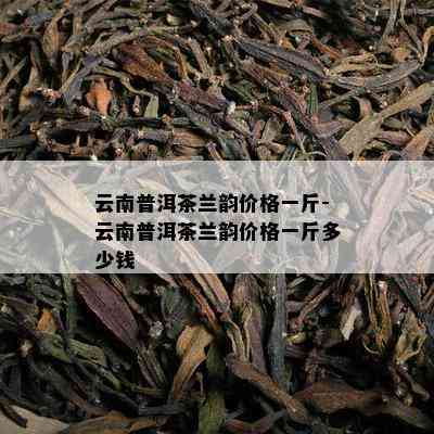 云南普洱茶兰韵价格一斤-云南普洱茶兰韵价格一斤多少钱