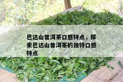 巴达山普洱茶口感特点，探索巴达山普洱茶的独特口感特点