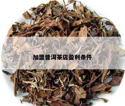 加盟普洱茶店盈利条件