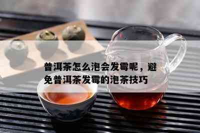 普洱茶怎么泡会发霉呢，避免普洱茶发霉的泡茶技巧