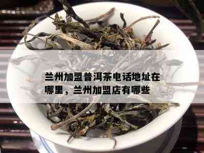 兰州加盟普洱茶电话地址在哪里，兰州加盟店有哪些