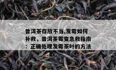 普洱茶存放不当,发霉如何补救，普洱茶霉变急救指南：正确处理发霉茶叶的方法