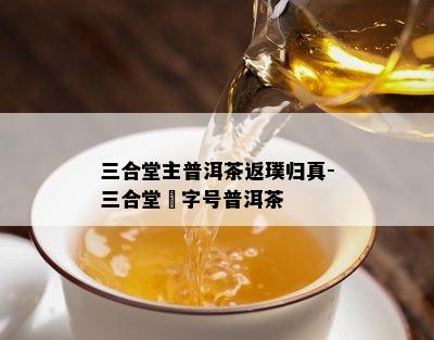 三合堂主普洱茶返璞归真-三合堂囍字号普洱茶