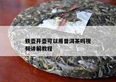 铁壶开壶可以用普洱茶吗视频讲解教程