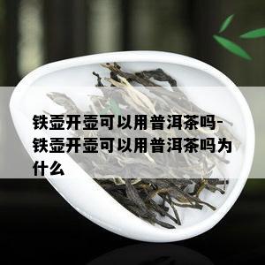 铁壶开壶可以用普洱茶吗-铁壶开壶可以用普洱茶吗为什么