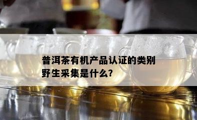 普洱茶有机产品认证的类别野生采集是什么？