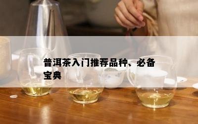 普洱茶入门推荐品种、必备宝典