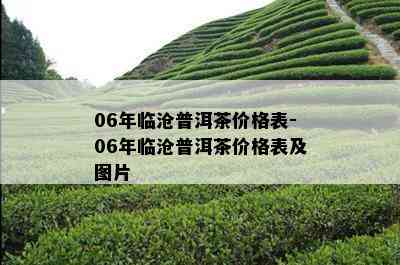 06年临沧普洱茶价格表-06年临沧普洱茶价格表及图片