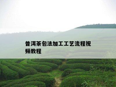 普洱茶包法加工工艺流程视频教程