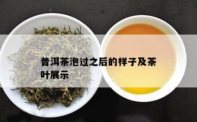 普洱茶泡过之后的样子及茶叶展示