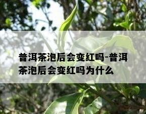 普洱茶泡后会变红吗-普洱茶泡后会变红吗为什么