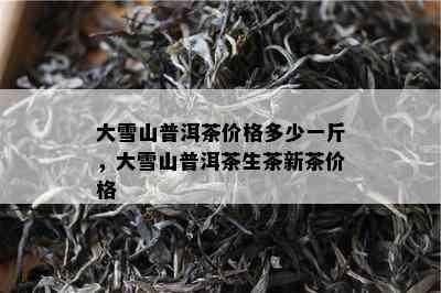 大雪山普洱茶价格多少一斤，大雪山普洱茶生茶新茶价格