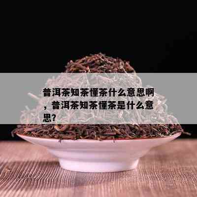 普洱茶知茶懂茶什么意思啊，普洱茶知茶懂茶是什么意思？