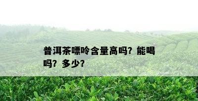 普洱茶嘌呤含量高吗？能喝吗？多少？