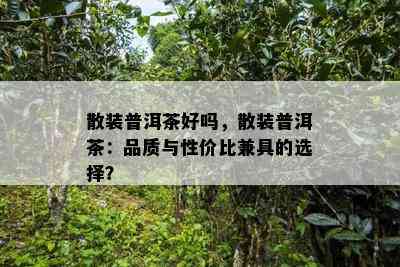 散装普洱茶好吗，散装普洱茶：品质与性价比兼具的选择？