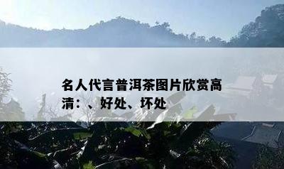 名人代言普洱茶图片欣赏高清：、好处、坏处