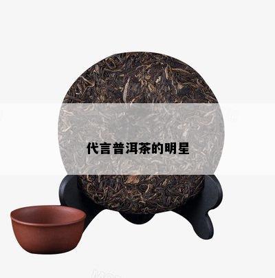 代言普洱茶的明星