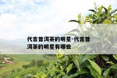 代言普洱茶的明星-代言普洱茶的明星有哪些