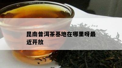 昆南普洱茶基地在哪里呀最近开放