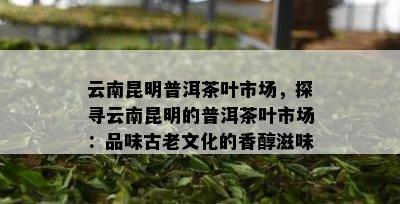 云南昆明普洱茶叶市场，探寻云南昆明的普洱茶叶市场：品味古老文化的香醇滋味