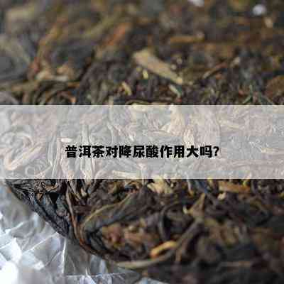 普洱茶对降尿酸作用大吗？