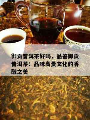 御贡普洱茶好吗，品鉴御贡普洱茶：品味高贵文化的香醇之美