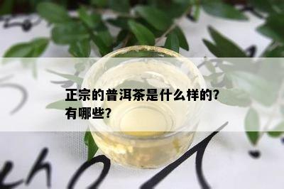 正宗的普洱茶是什么样的？有哪些？