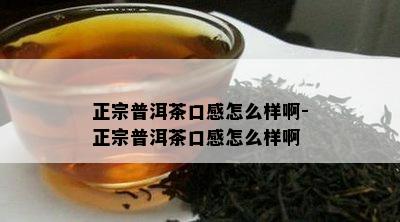 正宗普洱茶口感怎么样啊-正宗普洱茶口感怎么样啊