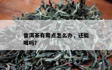 普洱茶有霉点怎么办，还能喝吗？