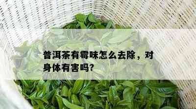 普洱茶有霉味怎么去除，对身体有害吗?