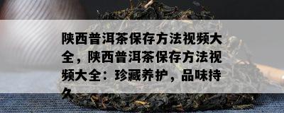 陕西普洱茶保存方法视频大全，陕西普洱茶保存方法视频大全：珍藏养护，品味持久