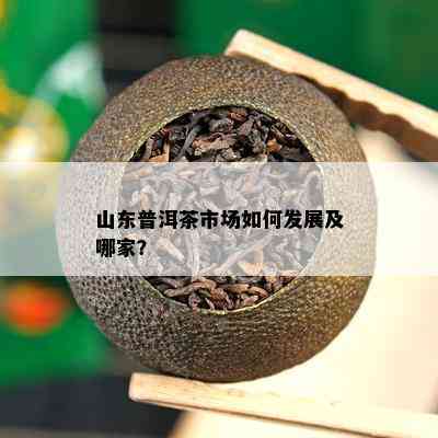 山东普洱茶市场如何发展及哪家？