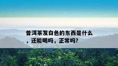 普洱茶发白色的东西是什么，还能喝吗，正常吗？