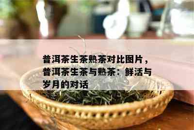 普洱茶生茶熟茶对比图片，普洱茶生茶与熟茶：鲜活与岁月的对话