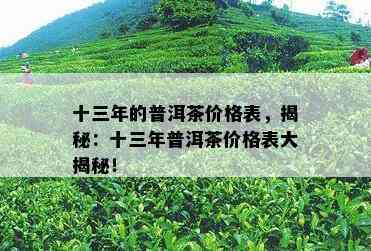 十三年的普洱茶价格表，揭秘：十三年普洱茶价格表大揭秘！