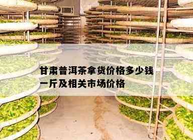 甘肃普洱茶拿货价格多少钱一斤及相关市场价格