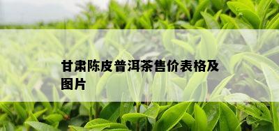 甘肃陈皮普洱茶售价表格及图片