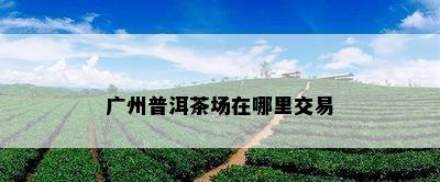 广州普洱茶场在哪里交易