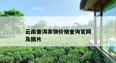 云南普洱茶饼价格查询官网及图片