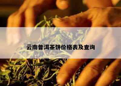 云南普洱茶饼价格表及查询