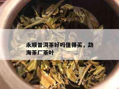 永顺普洱茶好吗值得买，勐海茶厂茶叶