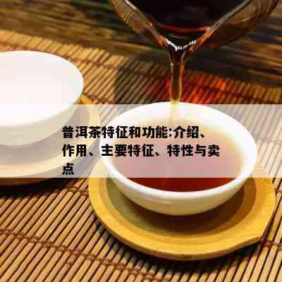 普洱茶特征和功能:介绍、作用、主要特征、特性与卖点